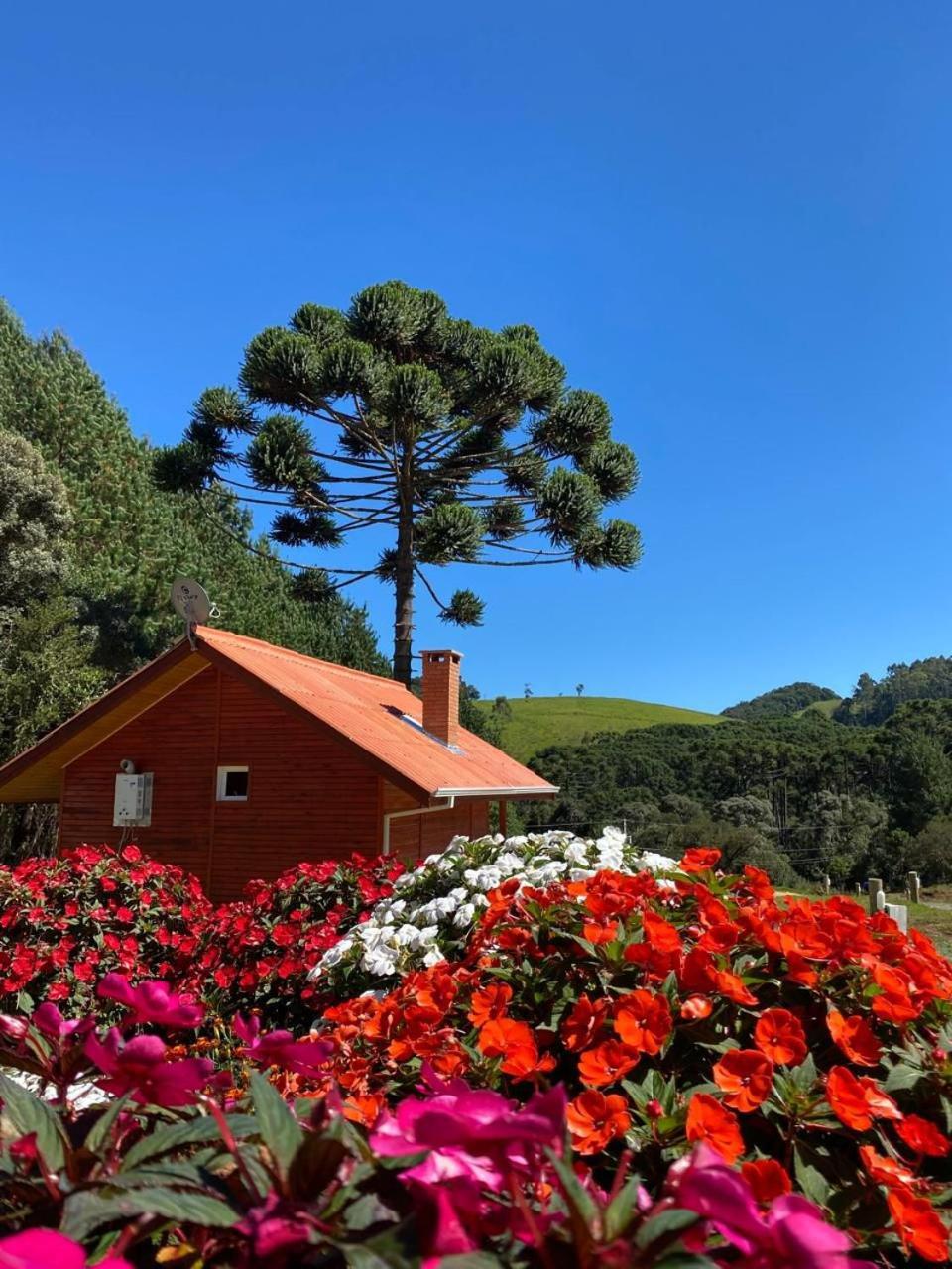 Chales Canto Da Serra Monte Verde  Exteriér fotografie